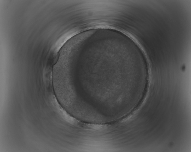 X0000116561289200912311925