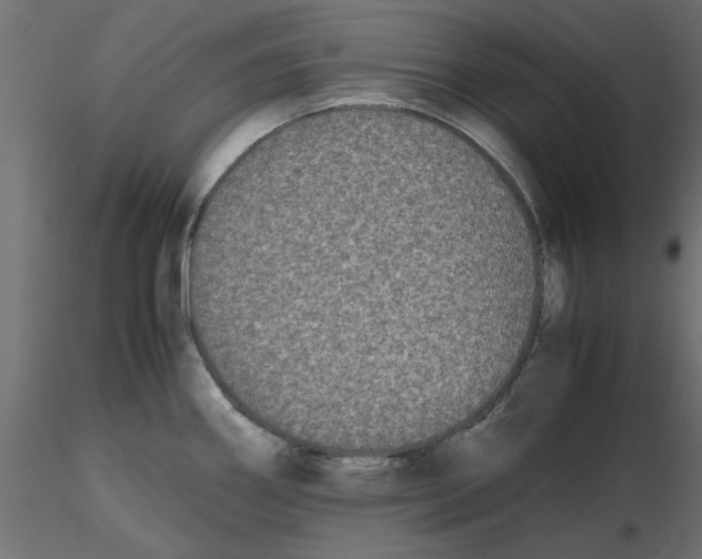 X0000116561290200912311925