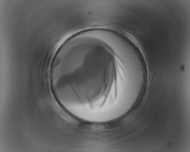 X0000116561291200912311925