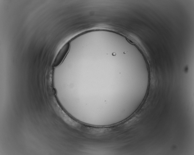 X0000116561292200912311925