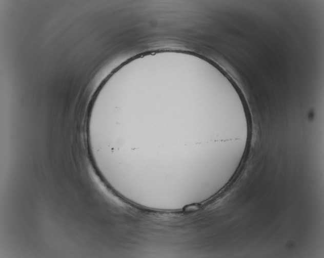 X0000116561293200912311925