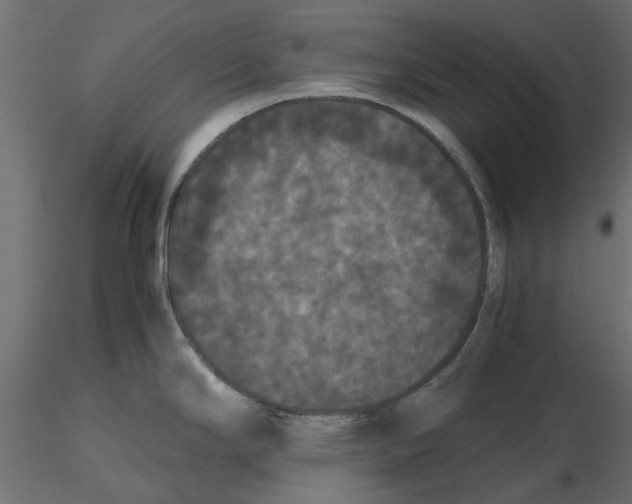 X0000116561294200912311925