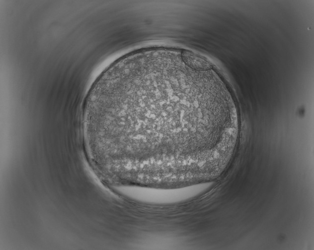 X0000116561295200912311925