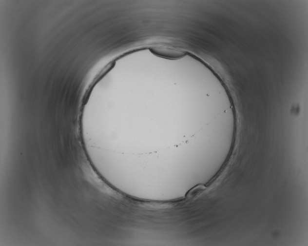 X0000116561296200912311924