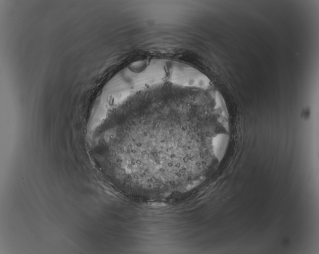 X0000116561297200912311924