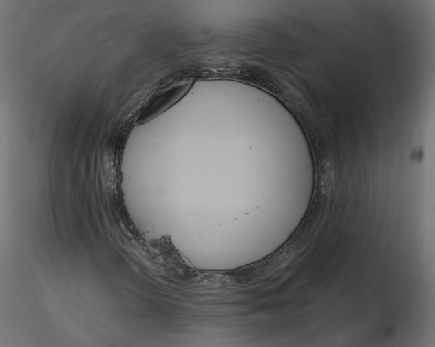 X0000116561298200912311924