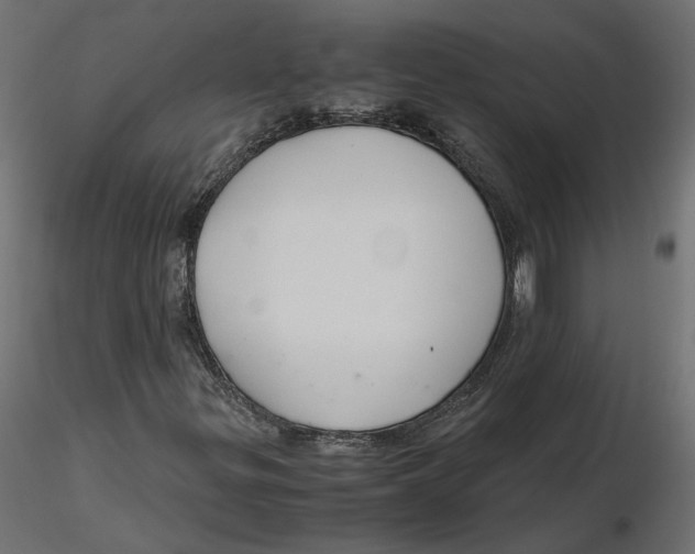 X0000116561299200912311924