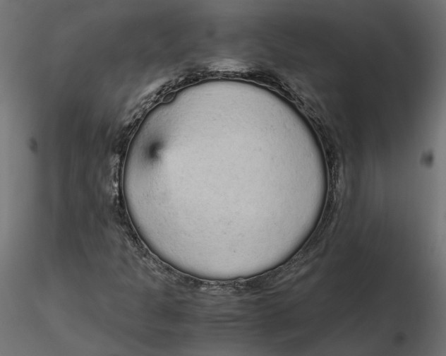 X0000116561301200912311924