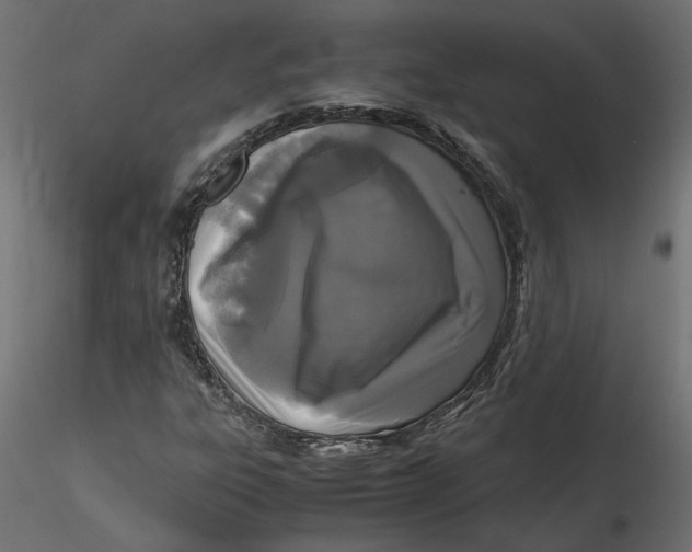 X0000116561303200912311924