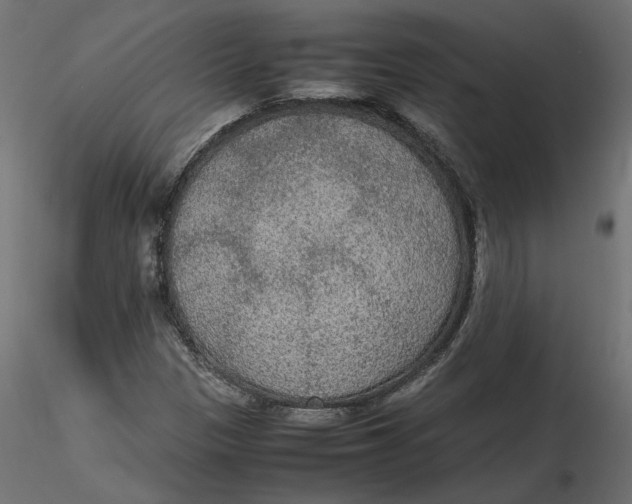 X0000116561305200912311924