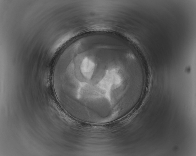 X0000116561306200912311924