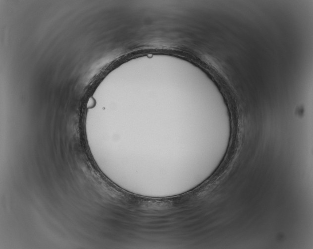 X0000116561307200912311924