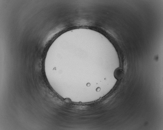 X0000116561309200912311924