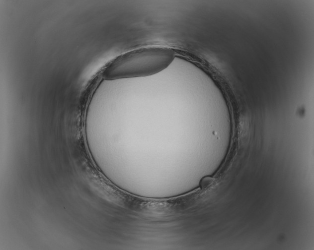 X0000116561310200912311924