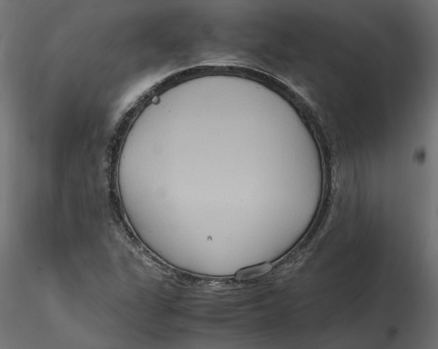 X0000116561311200912311924