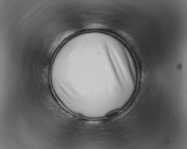 X0000116561313200912311924