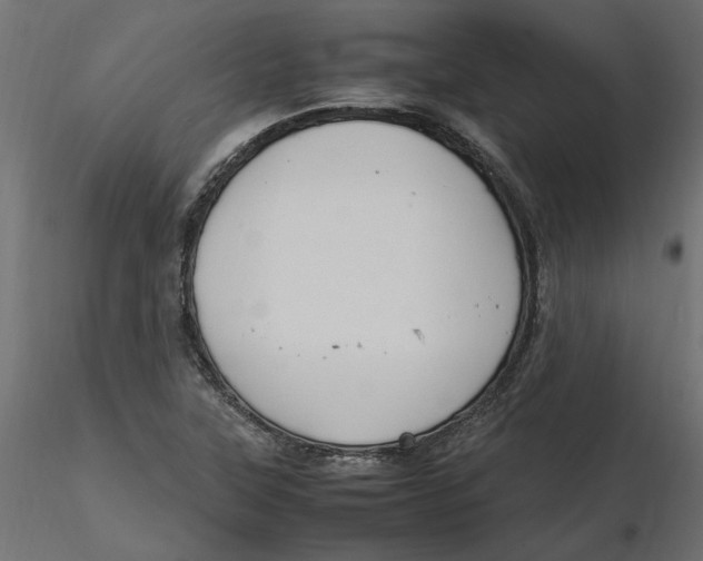 X0000116561315200912311924