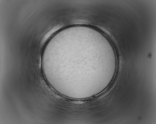 X0000116561317200912311924