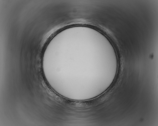 X0000116561318200912311924