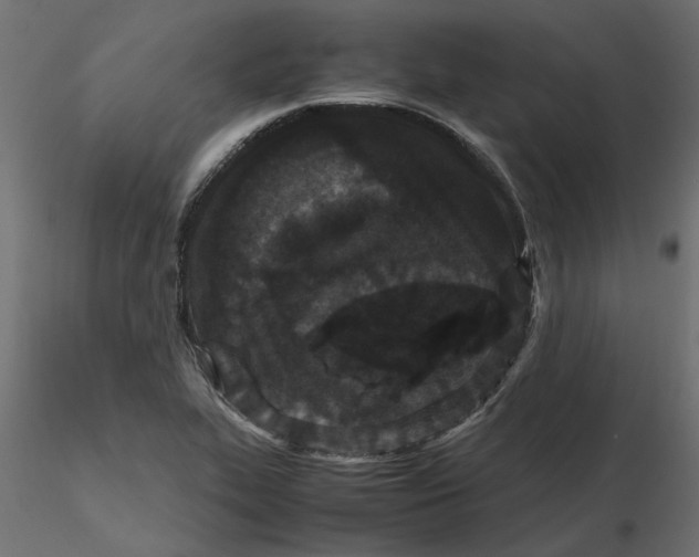 X0000116561319200912311924