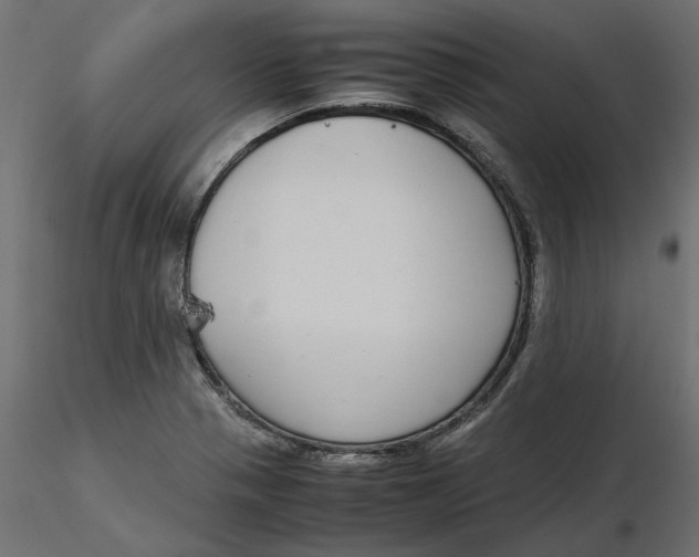 X0000116561321200912311924