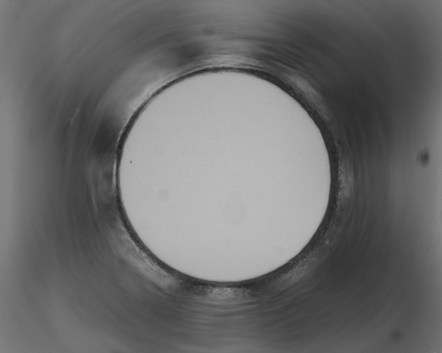 X0000116561322200912311924