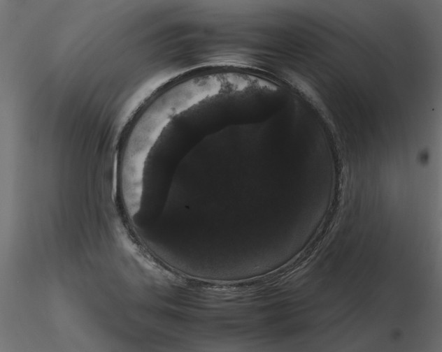 X0000116561323200912311924