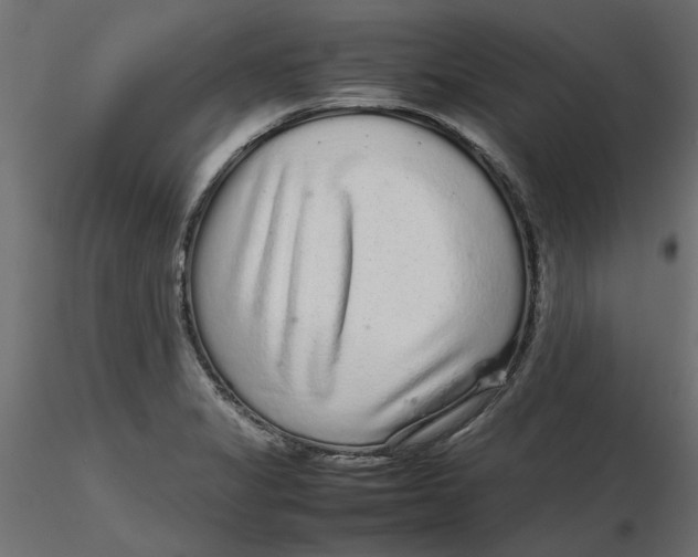 X0000116561325200912311924