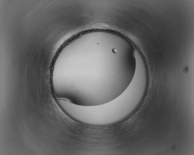 X0000116561326200912311924