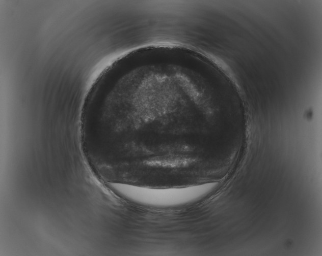 X0000116561327200912311924