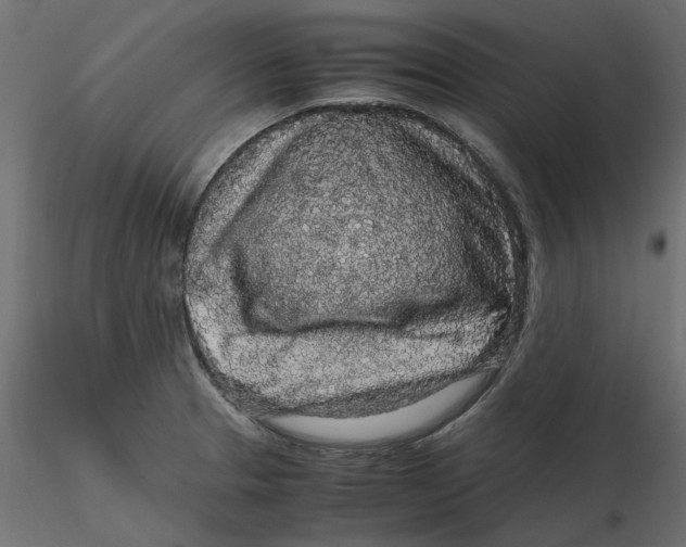 X0000116561329200912311924