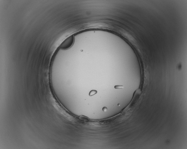 X0000116561330200912311924