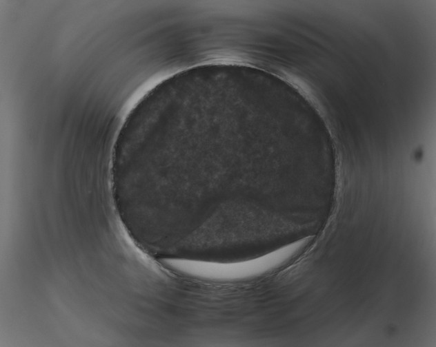 X0000116561331200912311924