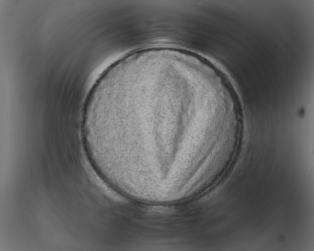 X0000116561333200912311924