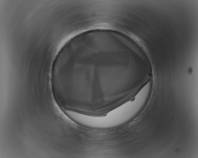 X0000116561334200912311924