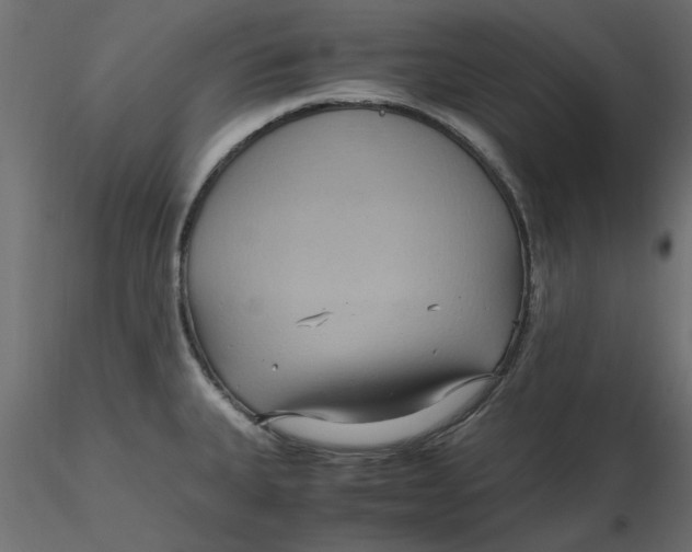 X0000116561335200912311924