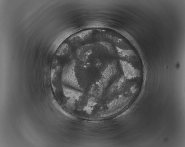 X0000116561337200912311924