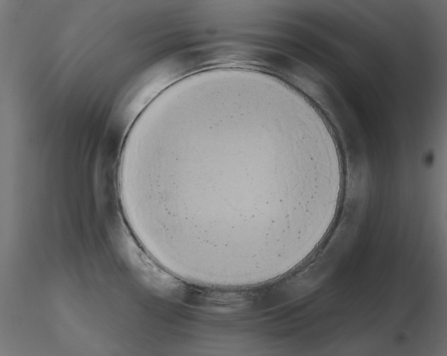 X0000116561338200912311924