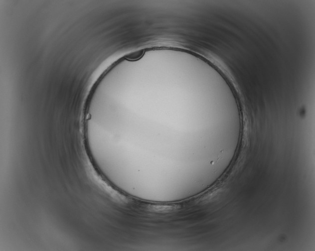 X0000116561339200912311924