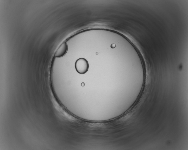 X0000116561341200912311924