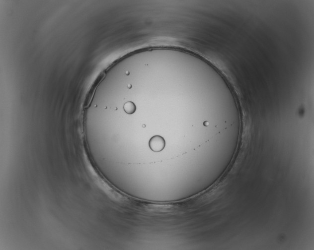 X0000116561342200912311924