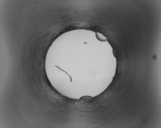 X0000116561345200912311924