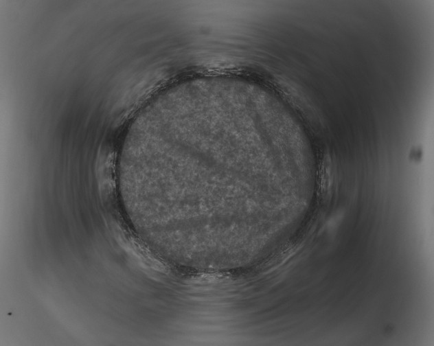 X0000116561346200912311924