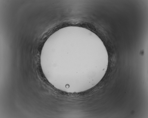 X0000116561349200912311924