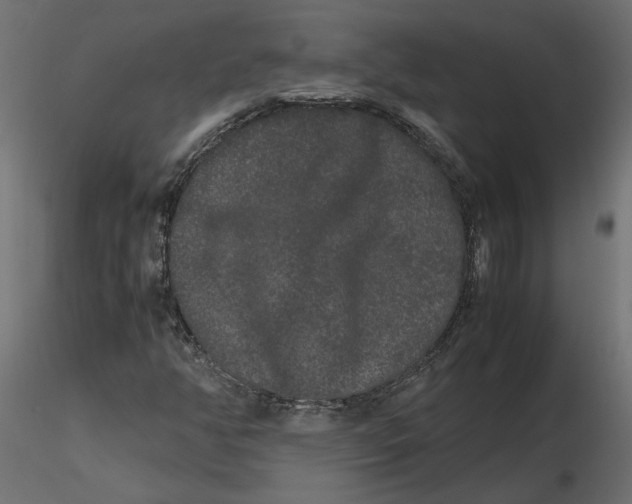 X0000116561350200912311924