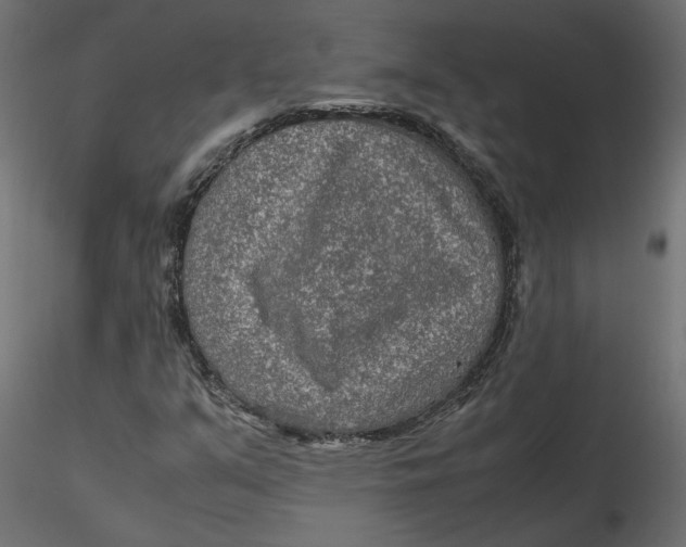 X0000116561351200912311924