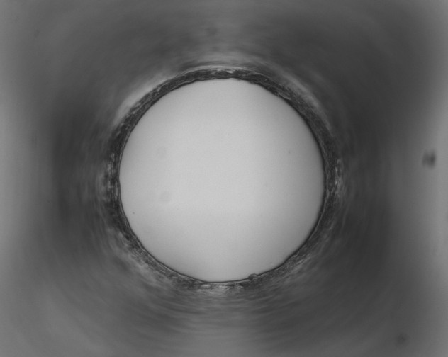 X0000116561352200912311924