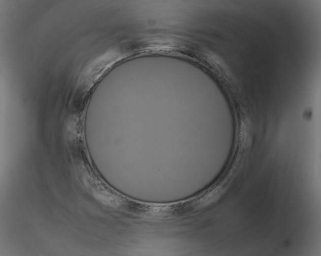 X0000116561353200912311924