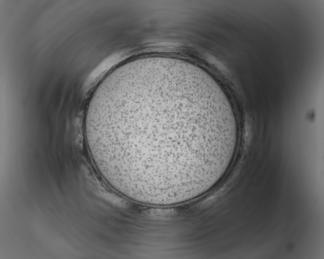 X0000116561354200912311924