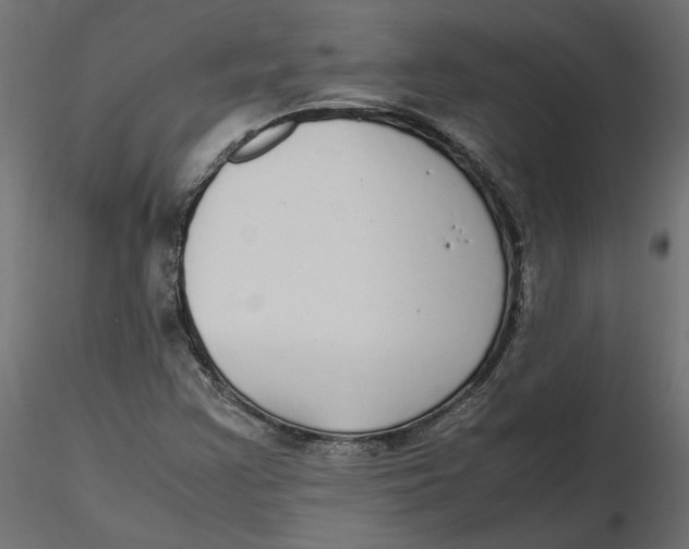 X0000116561355200912311924